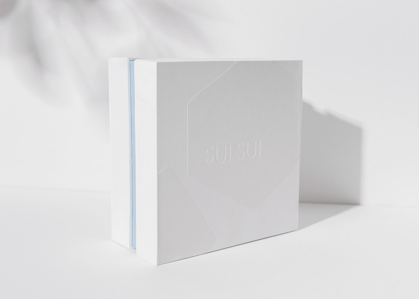 時(shí)尚 SuiSui 珠寶品牌設(shè)計(jì)和創(chuàng)意戰(zhàn)略定位，時(shí)尚珠寶品牌設(shè)計(jì)，品牌戰(zhàn)略定位，深圳品牌設(shè)計(jì)，左右格局