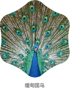 深圳珠寶品牌設(shè)計-左右格局 深圳珠寶品牌設(shè)計-左右格局